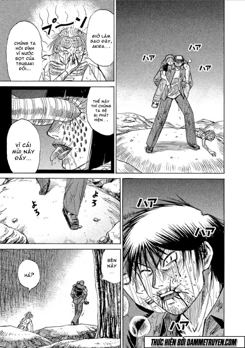 Higanjima - Đảo ma cà rồng: Chapter 479