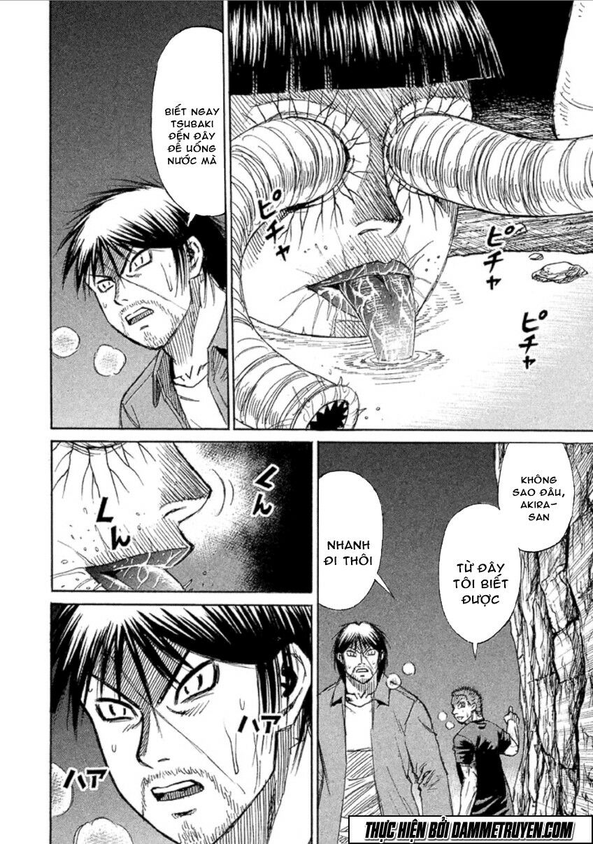 Higanjima - Đảo ma cà rồng: Chapter 481