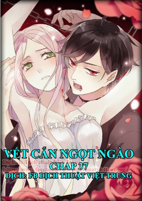 Vết Cắn Ngọt Ngào: Chapter 37