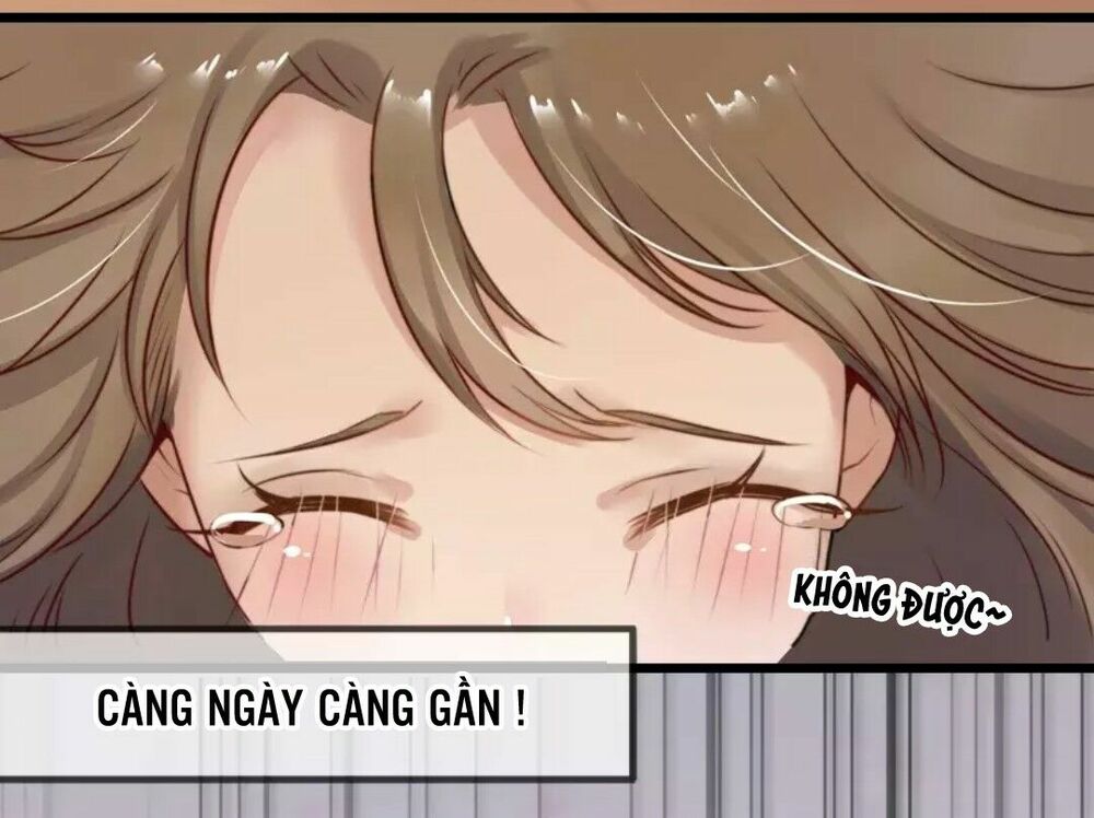 Một Tiếng "Gâu" Để Nói Lời Yêu!: Chapter 1