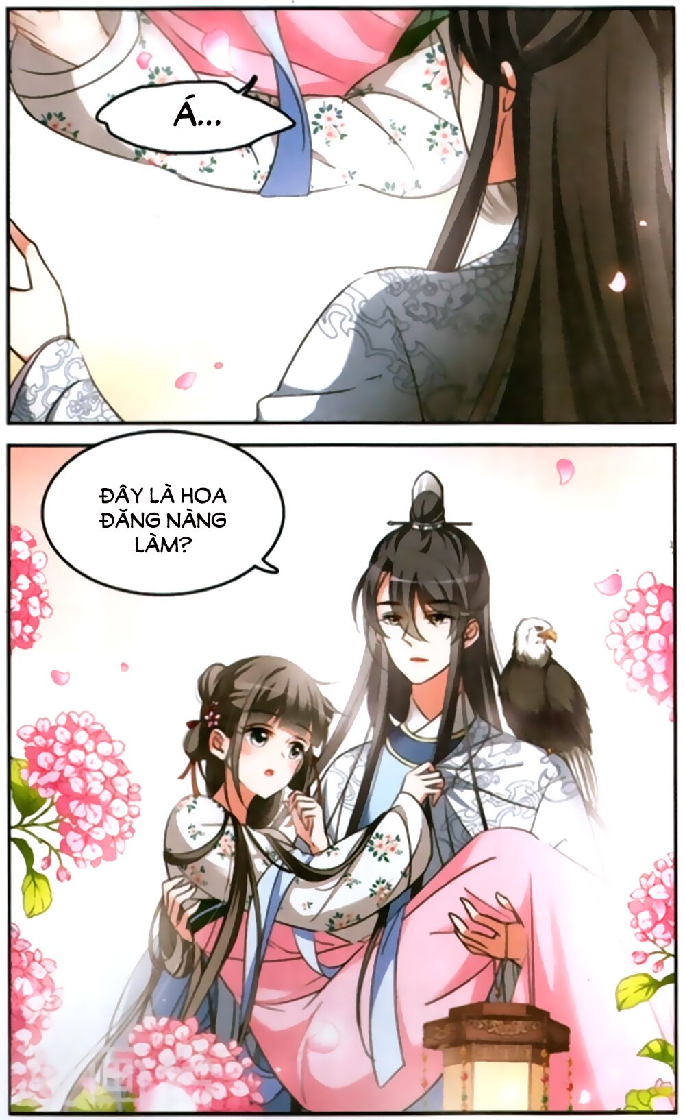 Thước Kiều Tiên: Chapter 6