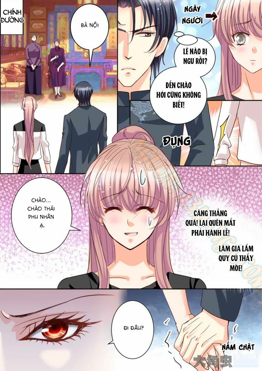 Bá Đạo Tổng Tài Yêu Ta: Chapter 19