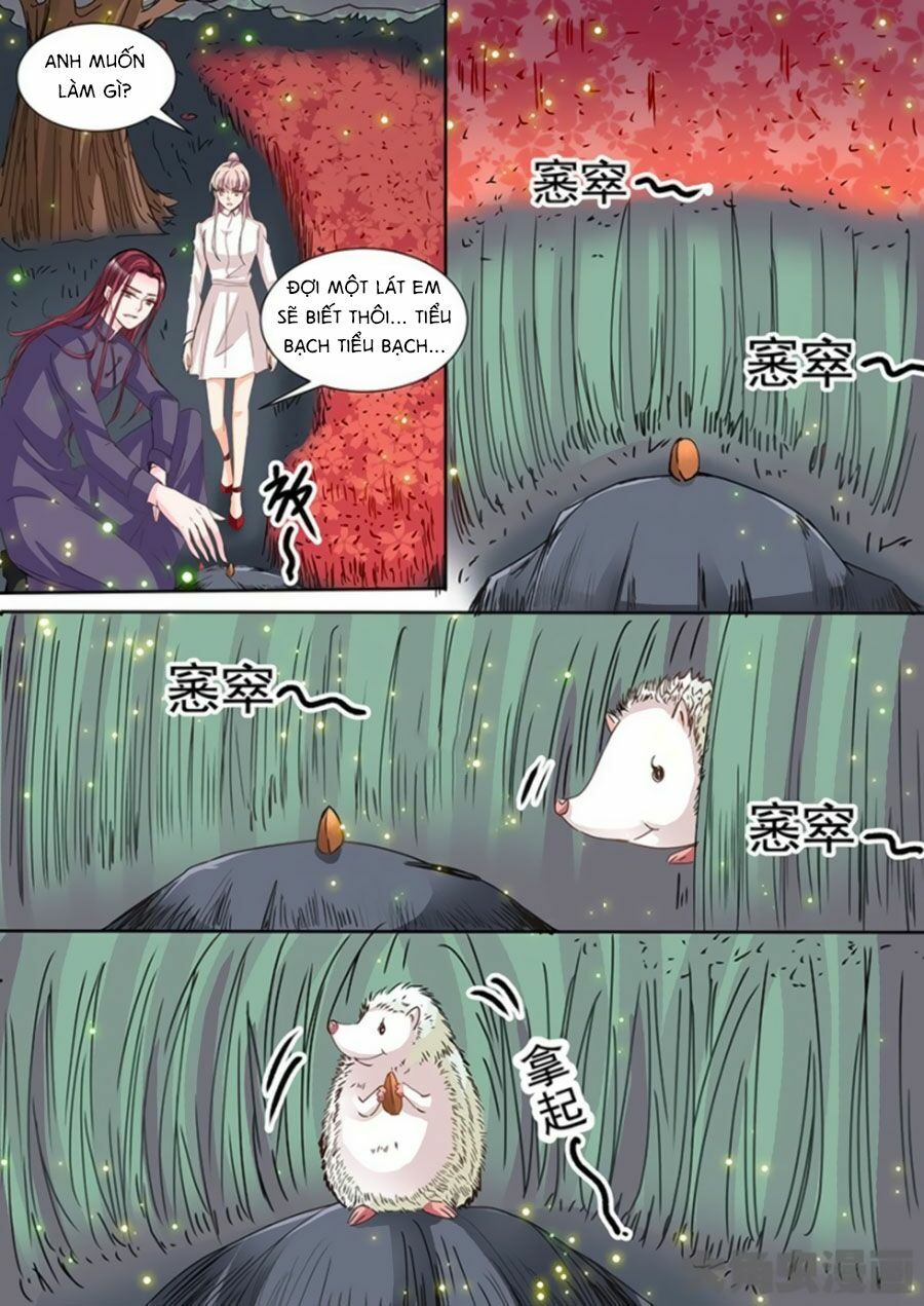 Bá Đạo Tổng Tài Yêu Ta: Chapter 56