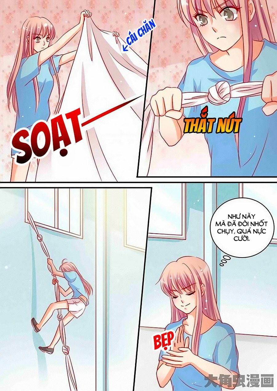 Bá Đạo Tổng Tài Yêu Ta: Chapter 96