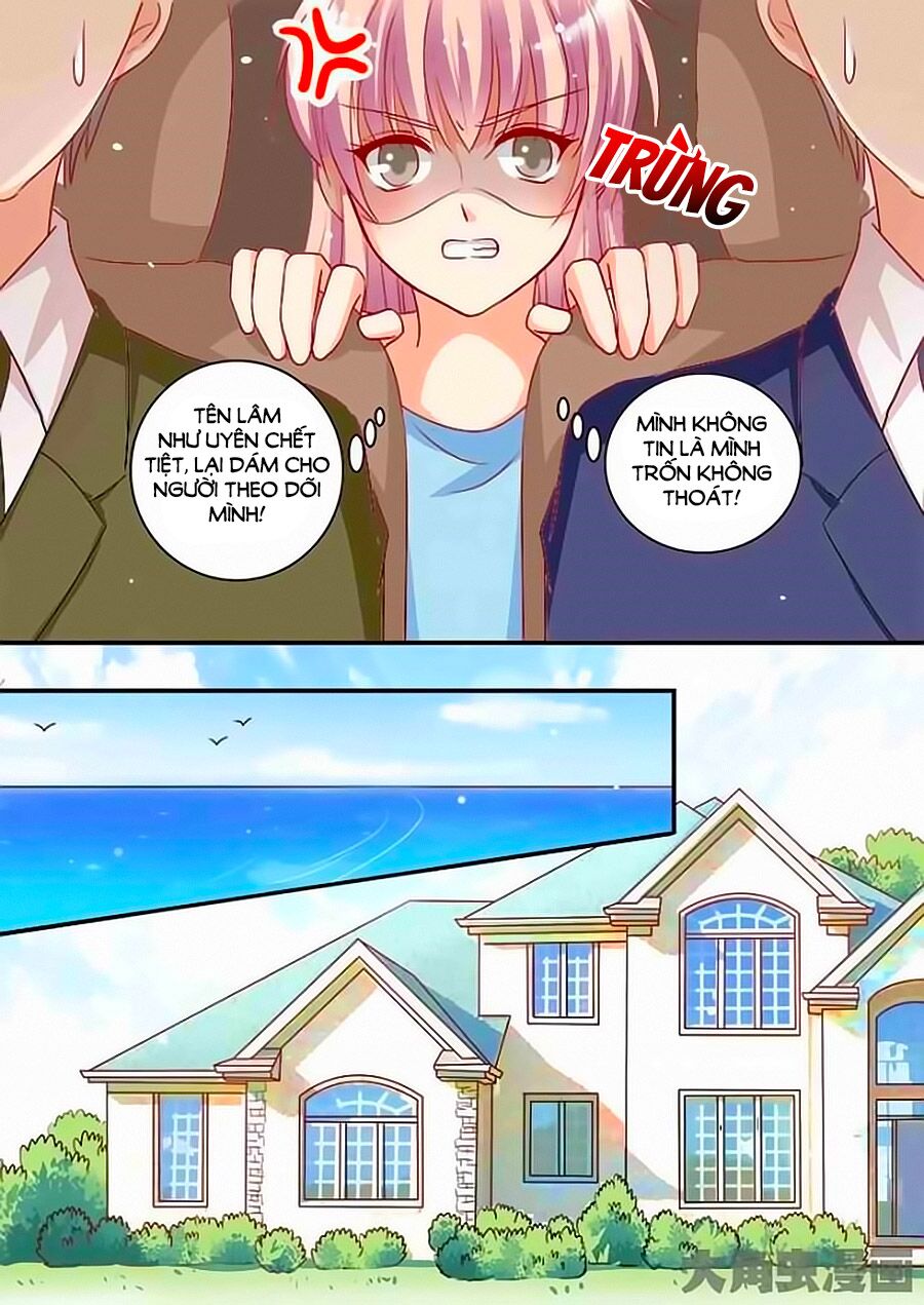 Bá Đạo Tổng Tài Yêu Ta: Chapter 97