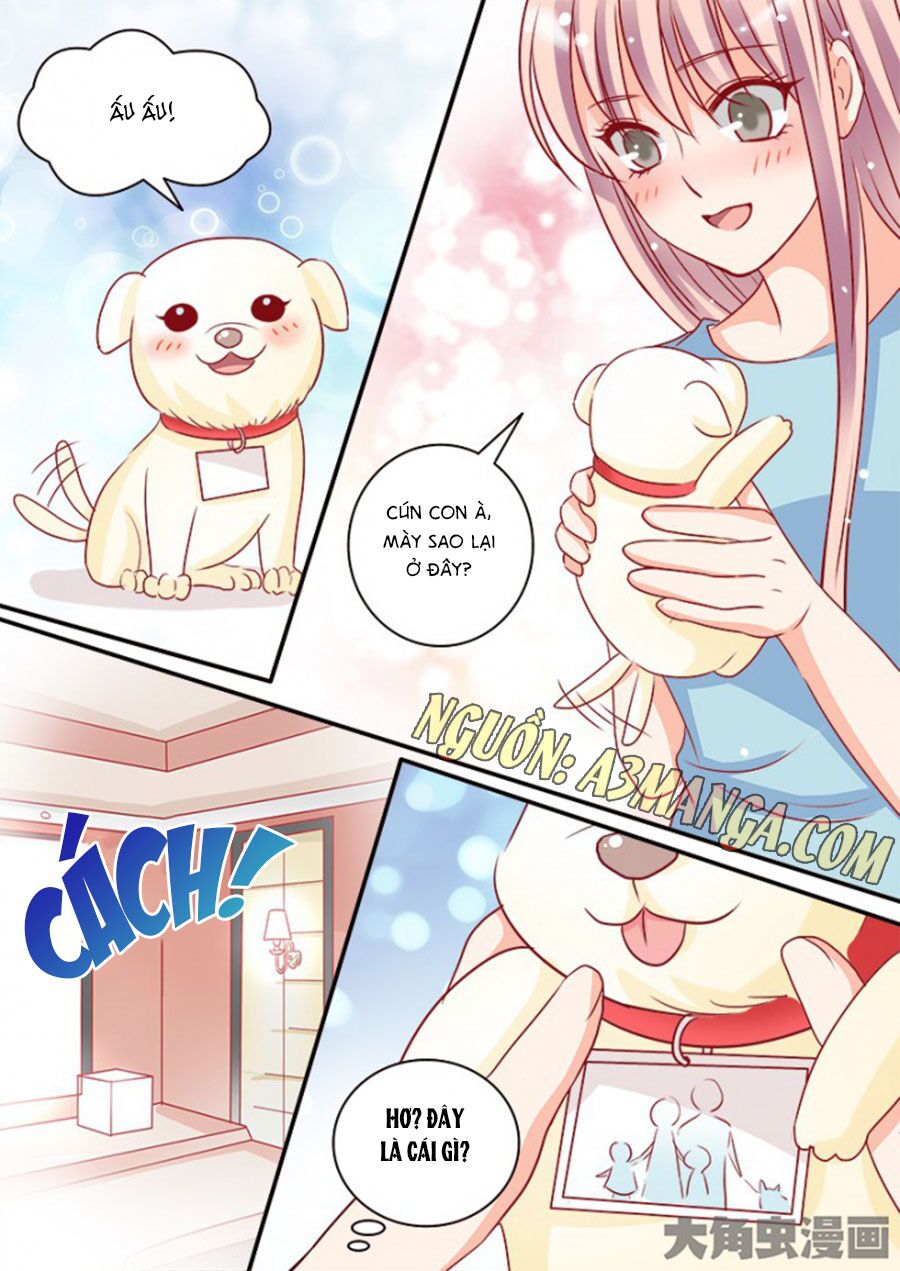 Bá Đạo Tổng Tài Yêu Ta: Chapter 99