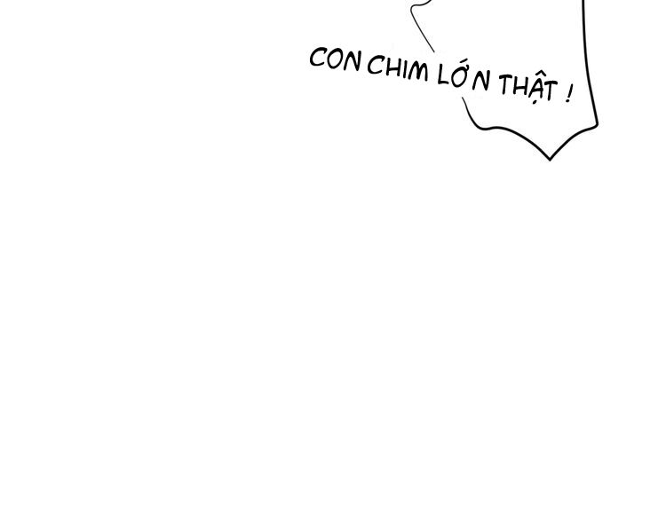 Xuyên Việt Chi Thiên Tâm Linh: Chapter 11.5