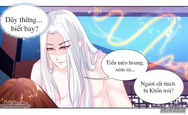 Sư Tôn Hai Mặt Đừng Xằng Bậy: Chapter 1