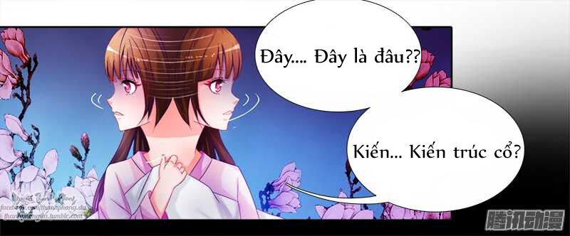 Sư Tôn Hai Mặt Đừng Xằng Bậy: Chapter 1