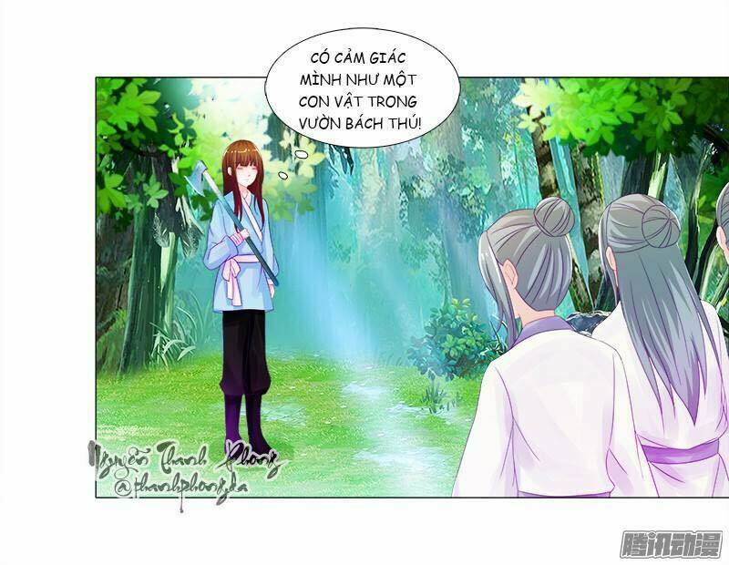 Sư Tôn Hai Mặt Đừng Xằng Bậy: Chapter 6