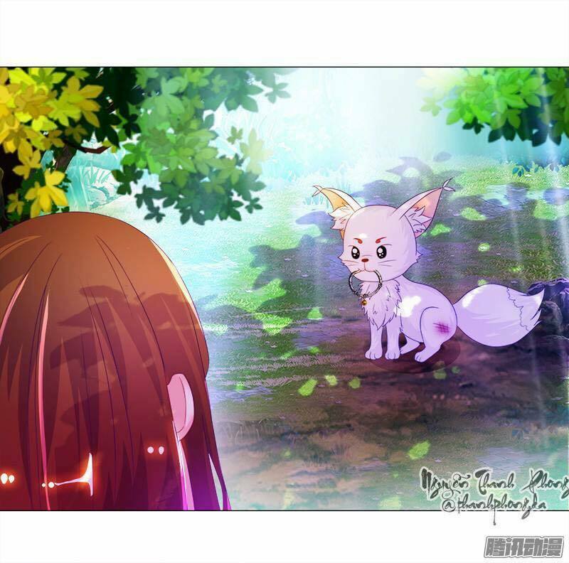Sư Tôn Hai Mặt Đừng Xằng Bậy: Chapter 6
