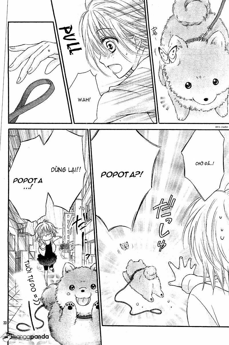 Hatsukoi Dandelion: Chapter 1
