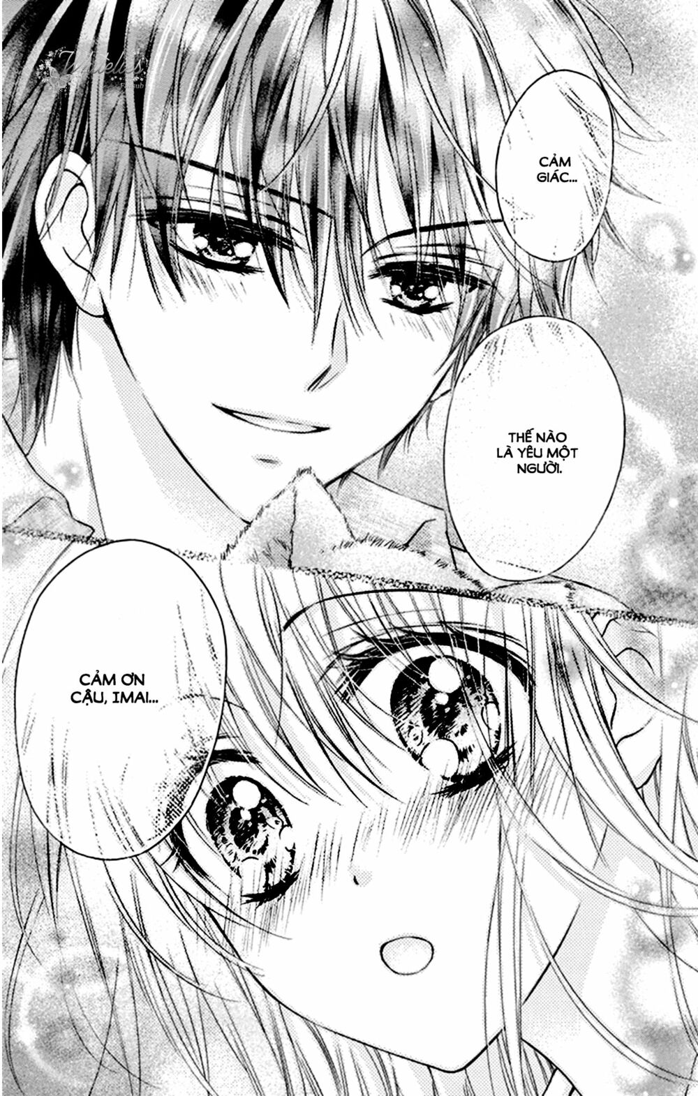 Hatsukoi Dandelion: Chapter 5.5