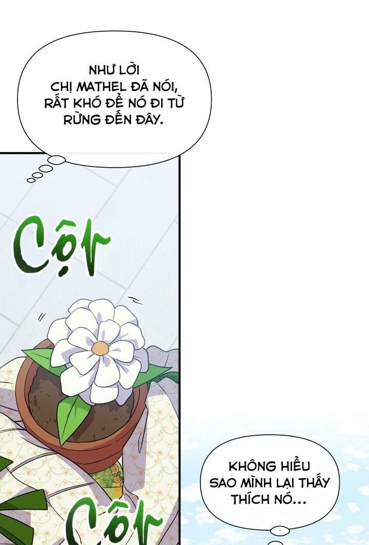 Khế ước của nữ công tước quái vật: Chapter 132
