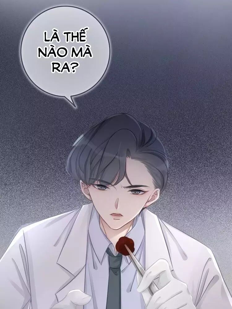 Ám Hắc Hệ Noãn Hôn: Chapter 11