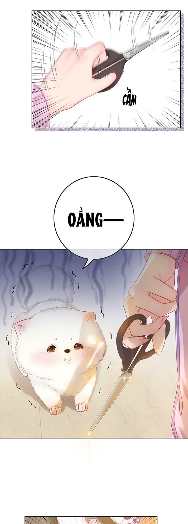 Ám Hắc Hệ Noãn Hôn: Chapter 21