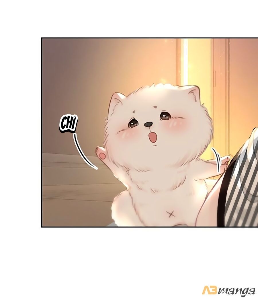Ám Hắc Hệ Noãn Hôn: Chapter 86