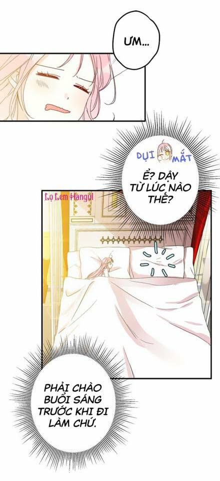 Cuộc Hôn Nhân Giả Dối: Chapter 12