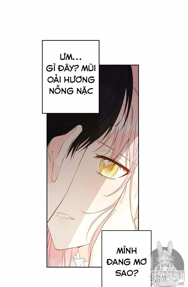 Cuộc Hôn Nhân Giả Dối: Chapter 28