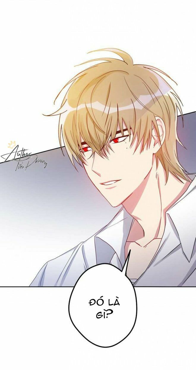 Cuộc Hôn Nhân Giả Dối: Chapter 4