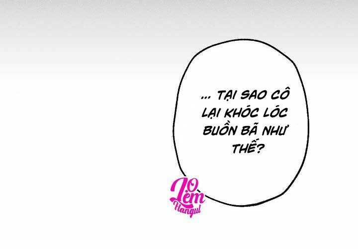 Cuộc Hôn Nhân Giả Dối: Chapter 65