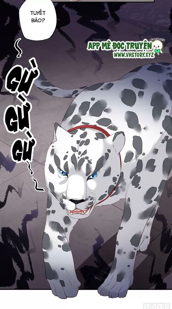 Hoàng Hậu Ương Bướng: Chapter 172