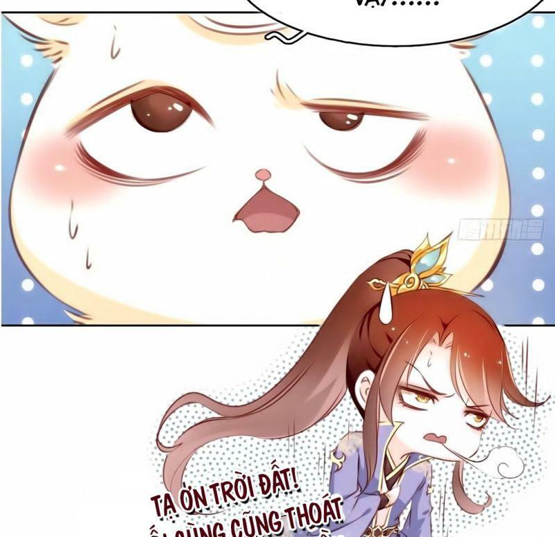 Nàng Trở Thành Bạch Nguyệt Quang Của Vương Gia Bệnh Kiều: Chapter 0