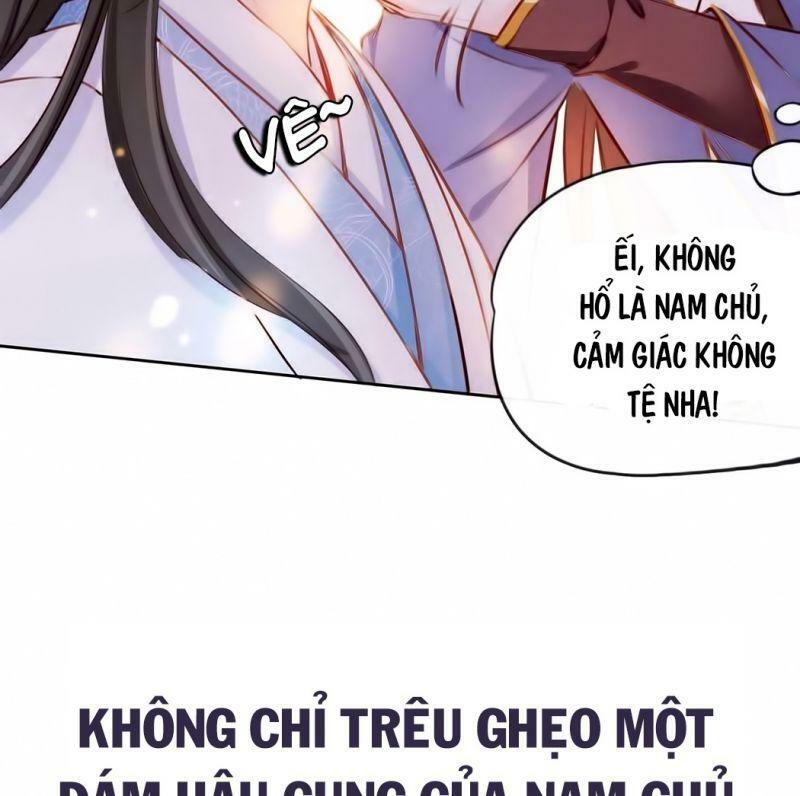 Nàng Trở Thành Bạch Nguyệt Quang Của Vương Gia Bệnh Kiều: Chapter 0