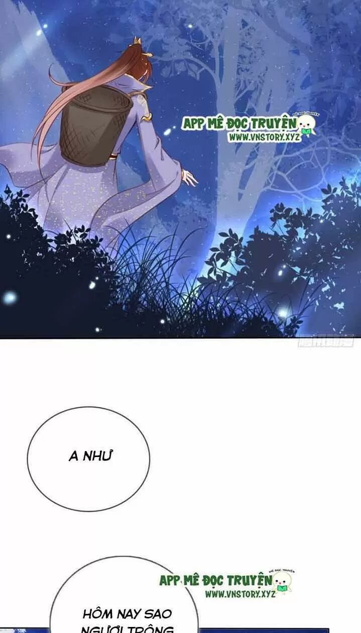 Nàng Trở Thành Bạch Nguyệt Quang Của Vương Gia Bệnh Kiều: Chapter 28: Các đại lão ảo tưởng mạnh quá!