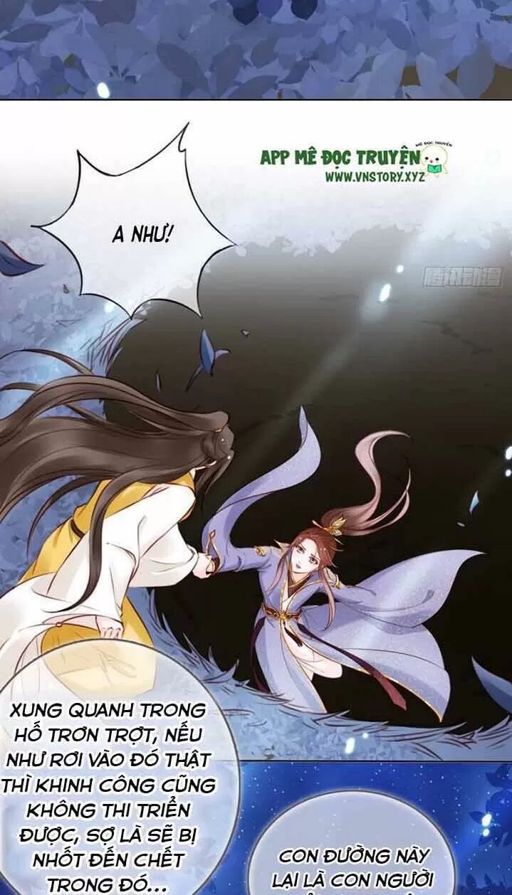 Nàng Trở Thành Bạch Nguyệt Quang Của Vương Gia Bệnh Kiều: Chapter 28: Các đại lão ảo tưởng mạnh quá!