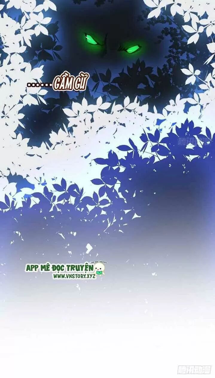 Nàng Trở Thành Bạch Nguyệt Quang Của Vương Gia Bệnh Kiều: Chapter 28: Các đại lão ảo tưởng mạnh quá!