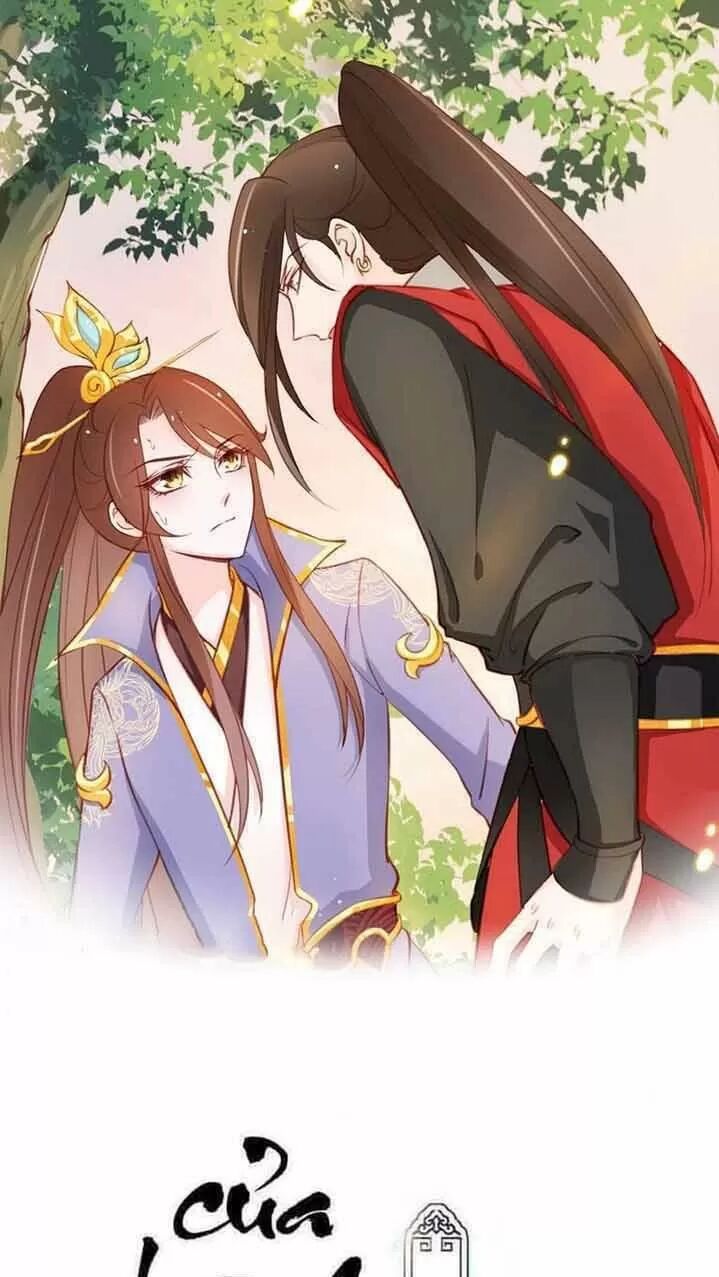 Nàng Trở Thành Bạch Nguyệt Quang Của Vương Gia Bệnh Kiều: Chapter 35: Lý Dao Triệt phát điên hoàn toàn