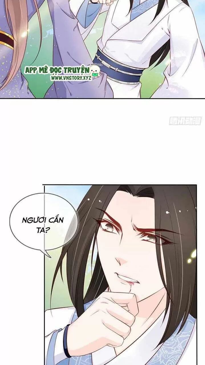 Nàng Trở Thành Bạch Nguyệt Quang Của Vương Gia Bệnh Kiều: Chapter 35: Lý Dao Triệt phát điên hoàn toàn