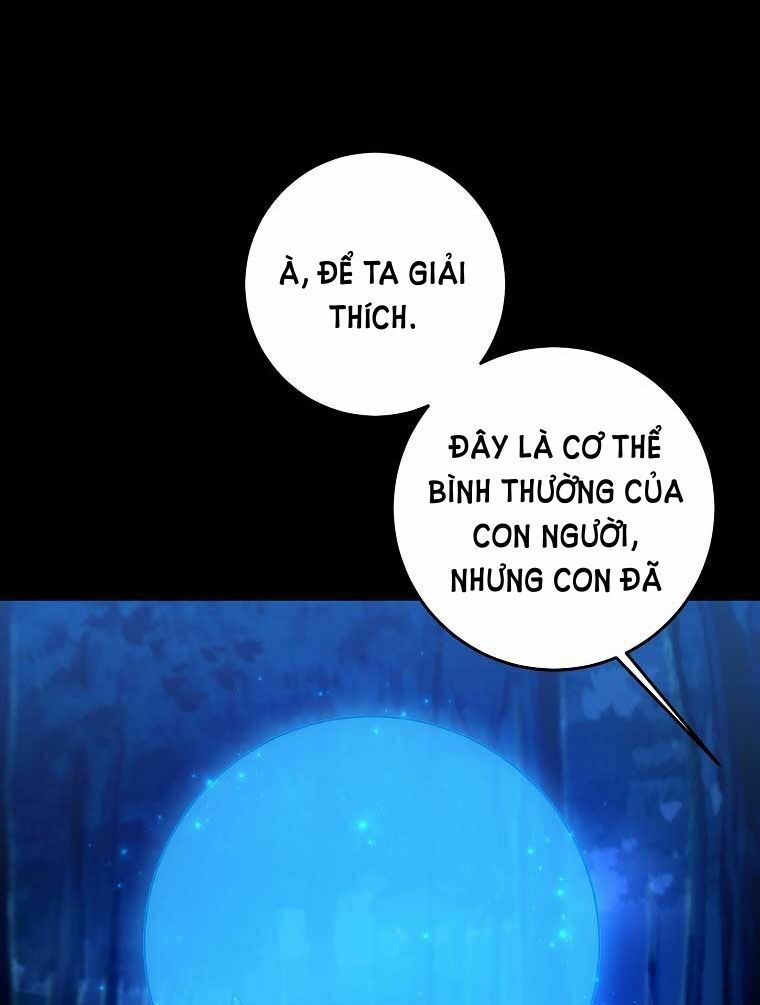 Tôi Là Con Gái Của Gia Đình Này!: Chapter 143