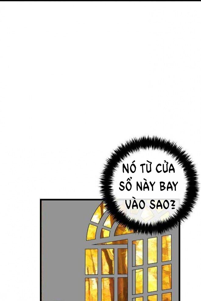 Tôi Là Con Gái Của Gia Đình Này!: Chapter 38