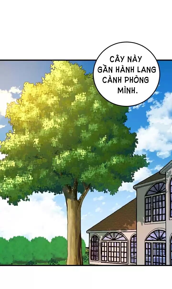 Tôi Là Con Gái Của Gia Đình Này!: Chapter 5