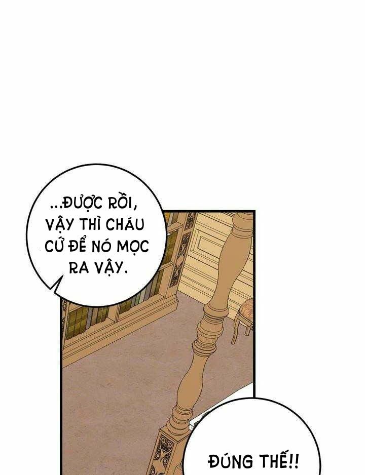 Tôi Là Con Gái Của Gia Đình Này!: Chapter 89