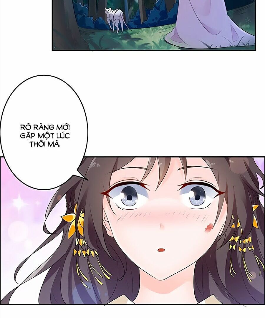 Vương Gia Là Đầu Đại Lão Hổ: Chapter 1
