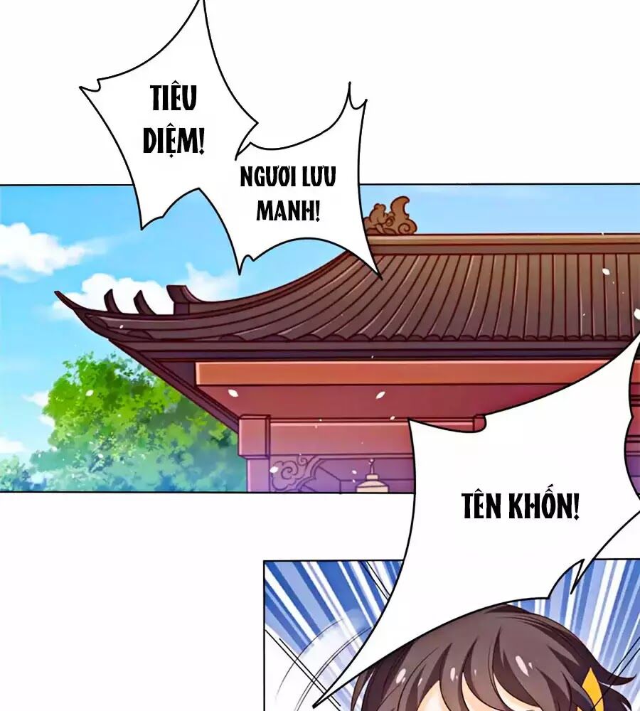 Vương Gia Là Đầu Đại Lão Hổ: Chapter 46