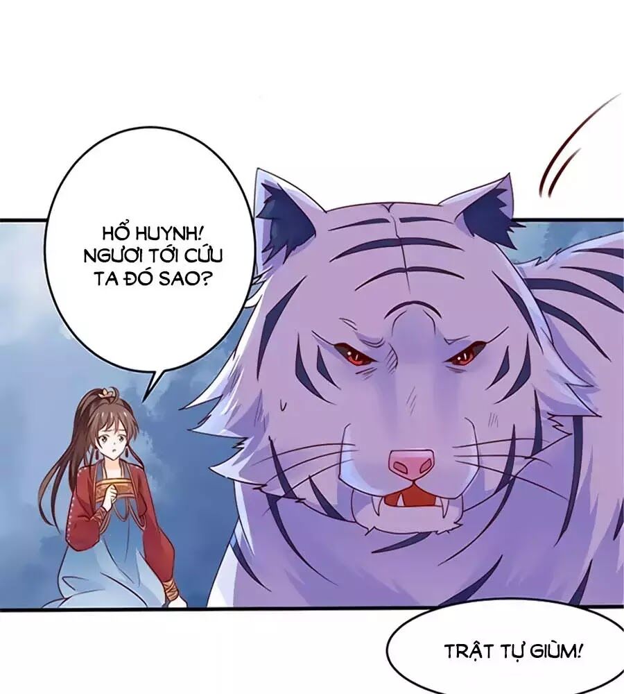 Vương Gia Là Đầu Đại Lão Hổ: Chapter 55