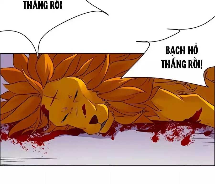 Vương Gia Là Đầu Đại Lão Hổ: Chapter 55