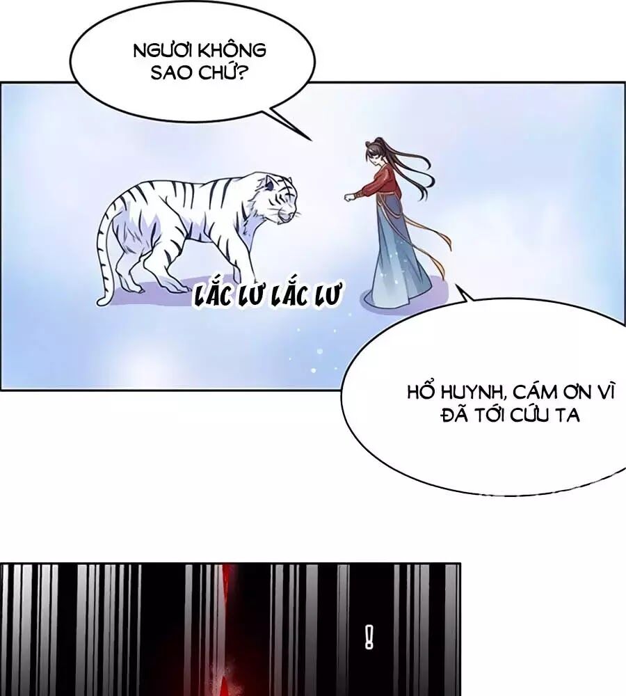 Vương Gia Là Đầu Đại Lão Hổ: Chapter 55