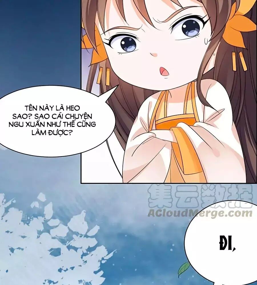 Vương Gia Là Đầu Đại Lão Hổ: Chapter 64