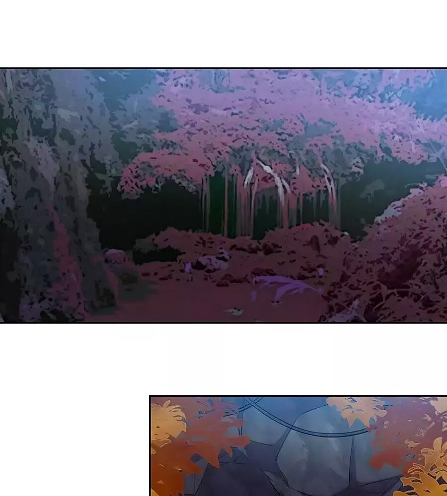 Vương Gia Là Đầu Đại Lão Hổ: Chapter 70