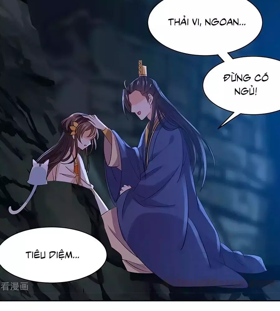 Vương Gia Là Đầu Đại Lão Hổ: Chapter 70