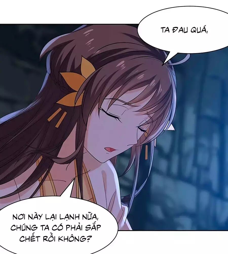 Vương Gia Là Đầu Đại Lão Hổ: Chapter 70