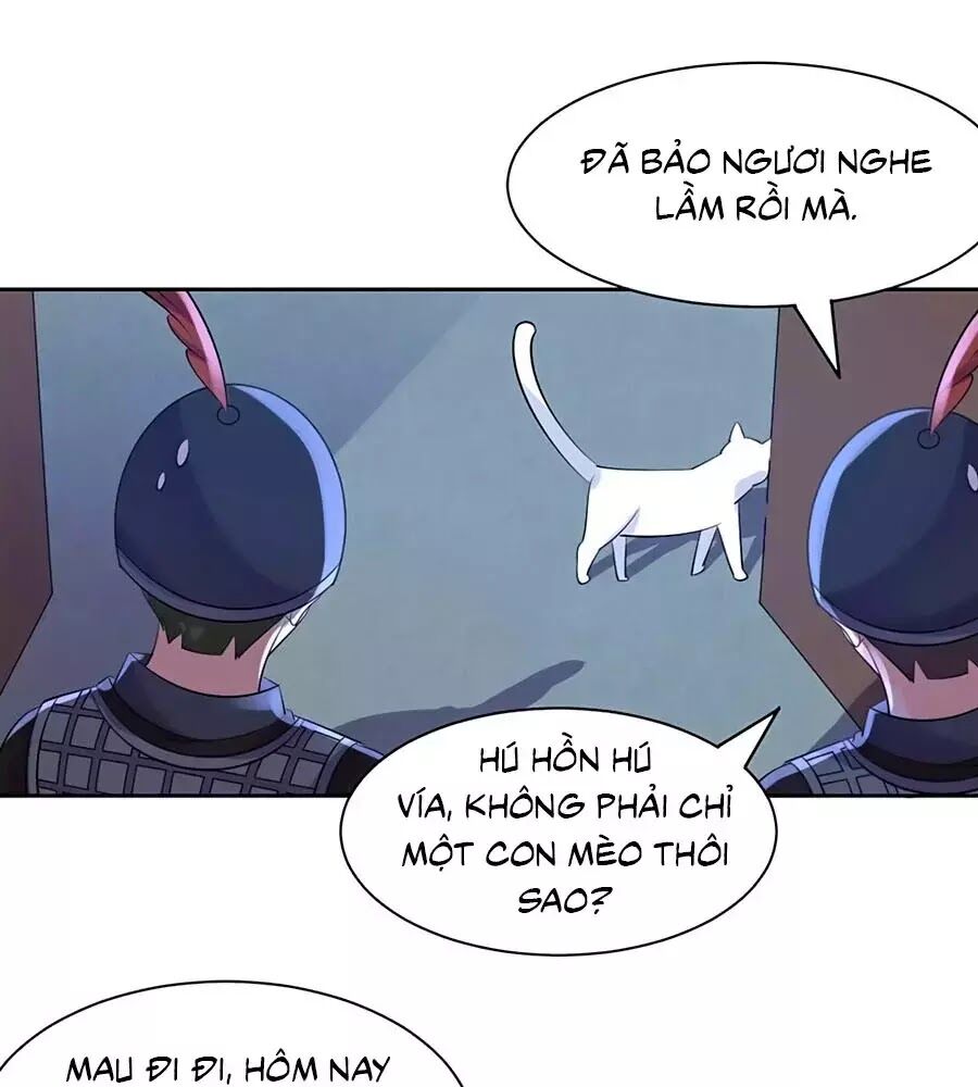 Vương Gia Là Đầu Đại Lão Hổ: Chapter 77