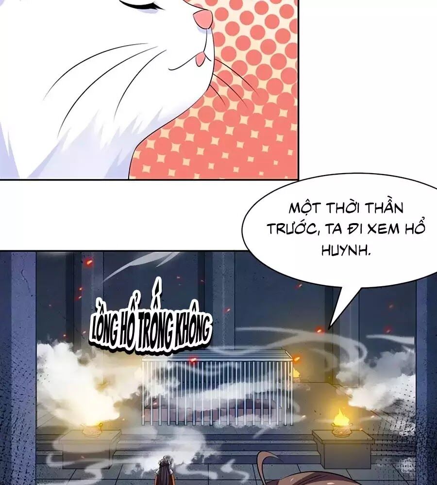 Vương Gia Là Đầu Đại Lão Hổ: Chapter 77