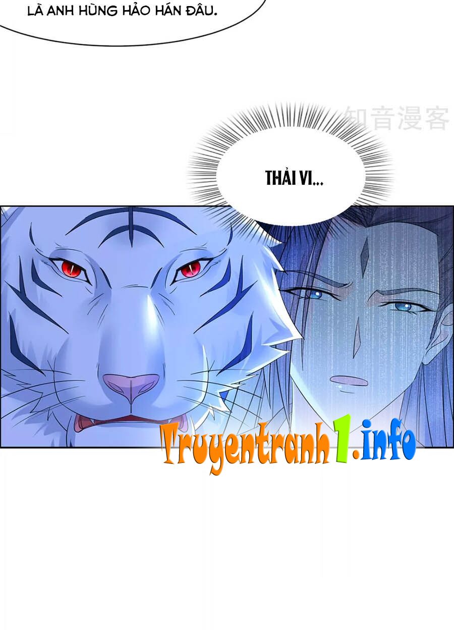 Vương Gia Là Đầu Đại Lão Hổ: Chapter 96