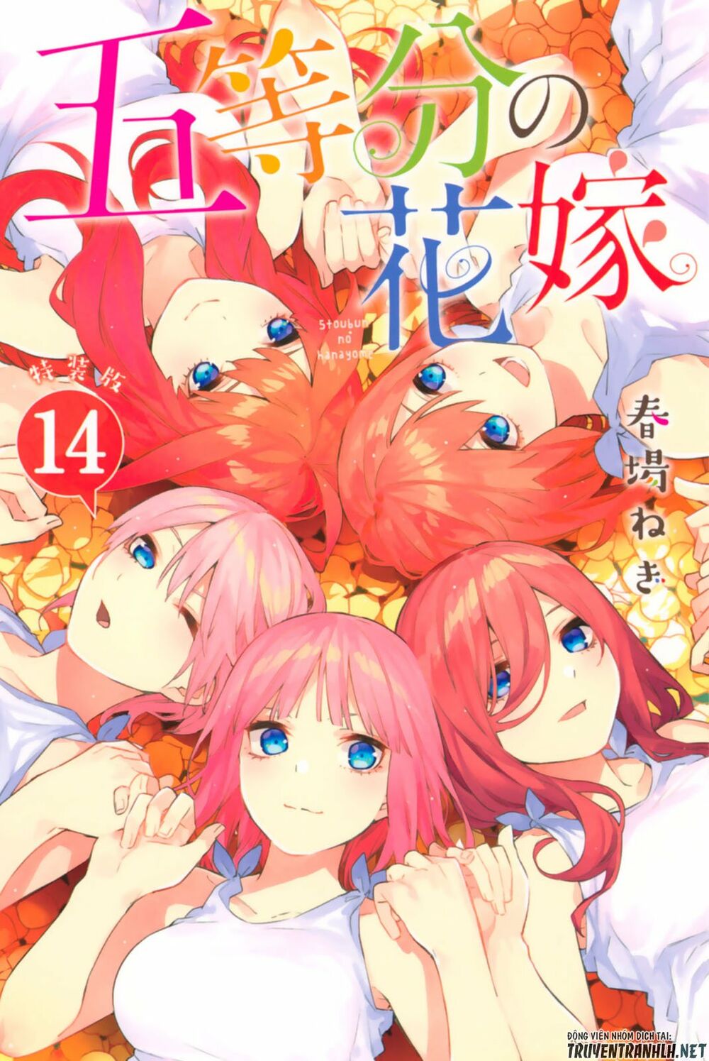 The Five Wedded Brides: Chapter 122.5: extra